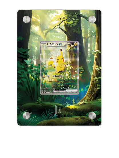 Pikachu ex | SlabHub Display Frame