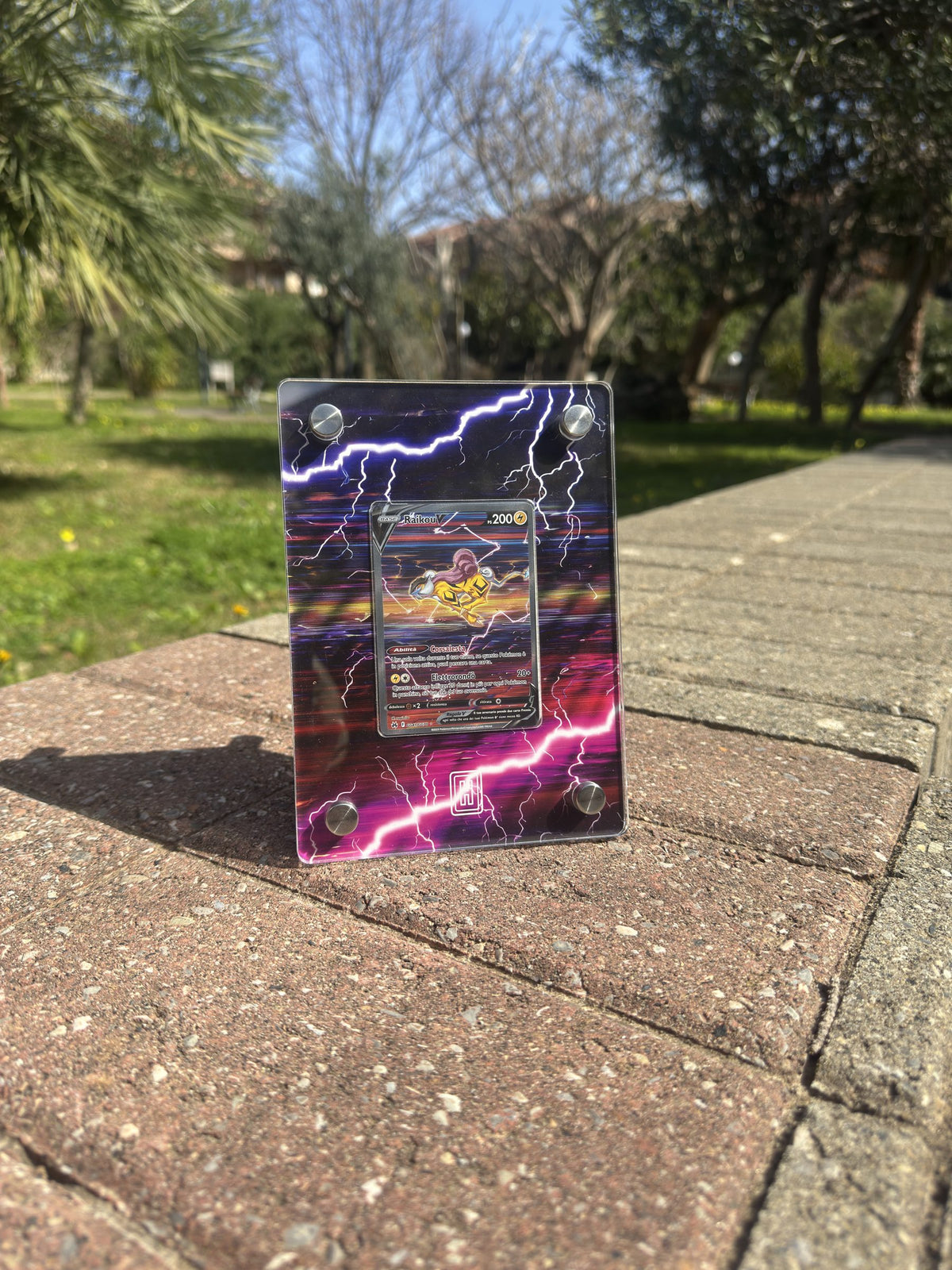 SlabHub frame – Raikou V · CRZ GG41