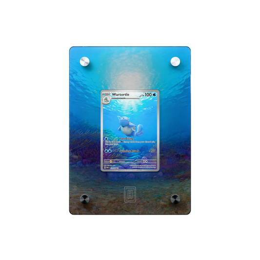 Wartortle SlabHub display frame – front view